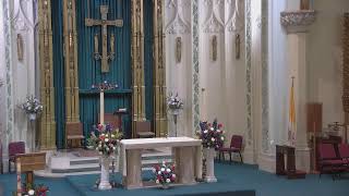 5th Sunday in Ordinary Time
