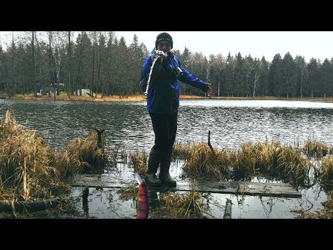 ЗАБРОС МУЛЬТИПЛИКАТОРНОЙ КАТУШКОЙ!