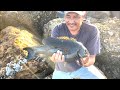 Redondo beach breakwall  pescando mojarras grandes opaleye