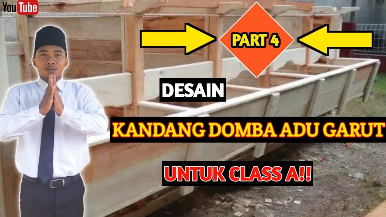 PEMBUATAN KANDANG DOMBA ADU GARUT PART 4