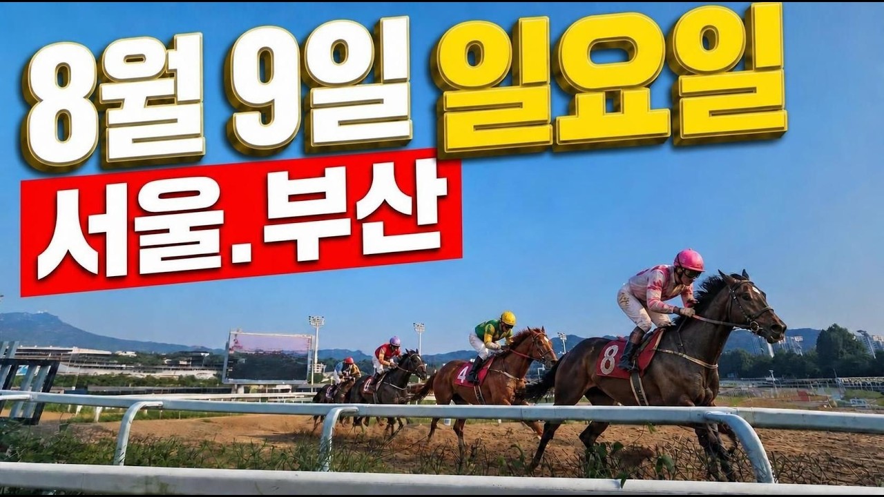 [ 2026년 8월 9일 일요(서울.부산)경마~!]