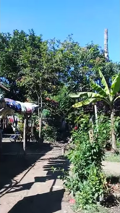 Mervati kolongan