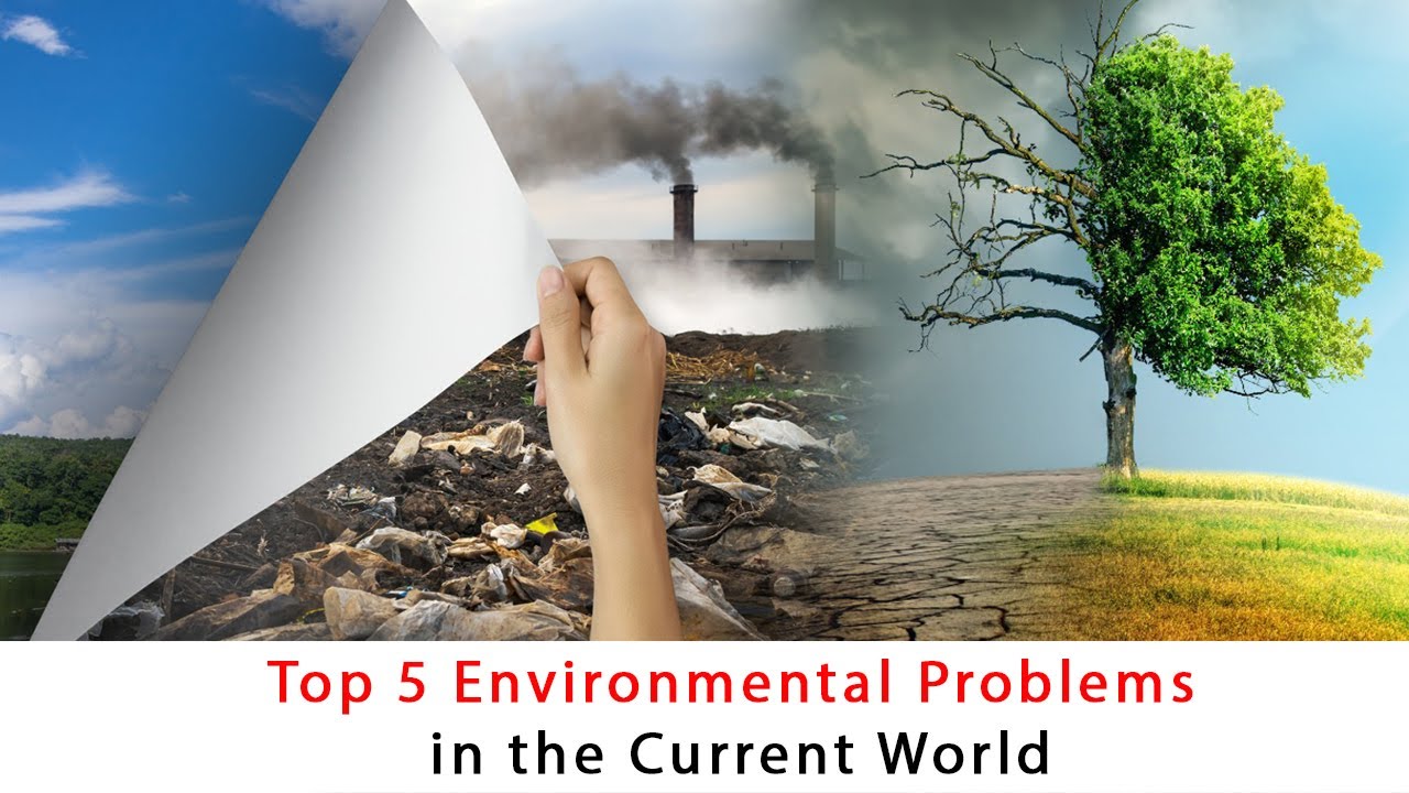 Top 5 Environmental Problems In The Current World