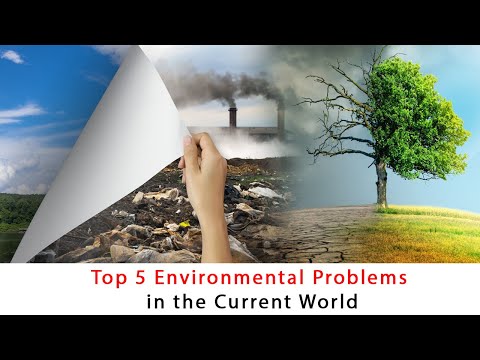 वीडियो: प्रमुख पर्यावरणीय समस्याएं क्या हैं?