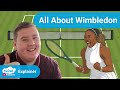 All about wimbledon  ks2 lesson explainer