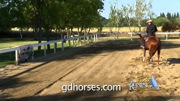 Cowtrac Inside Reining