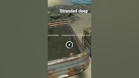 showing Robin doing on stranded deep