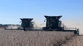 Cutting the beans in Illinois