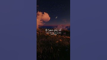 و قل ربي ارحمهما كما ربياني صغيرا🌿تلاوة من سورة الإسراء🌿للقارئ ياسر الدوسري🌿