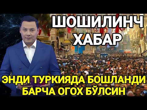 Video: Rus zaytunlari nima uchun foydali?