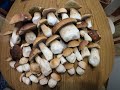 grzyby 2020 borowiki prawdziwki. Podkarpackie. Godzinka w lesie. Белый гриб mushrooms Білі гриби