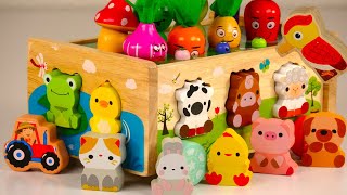 Best Learn Numbers Counting Colors Animals Vegetables Toddler Learning Toy Video