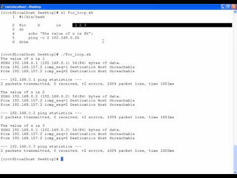 SADS: Bash Looping