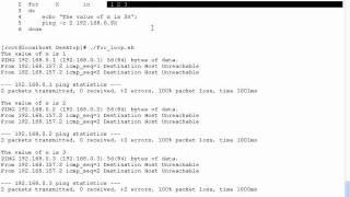 SADS: Bash Looping