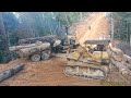 90s bulldozers filled with logs in Malaysia [ logging trucks ] tasik banding perak