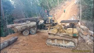 90s bulldozers filled with logs in Malaysia [ logging trucks ] tasik banding perak