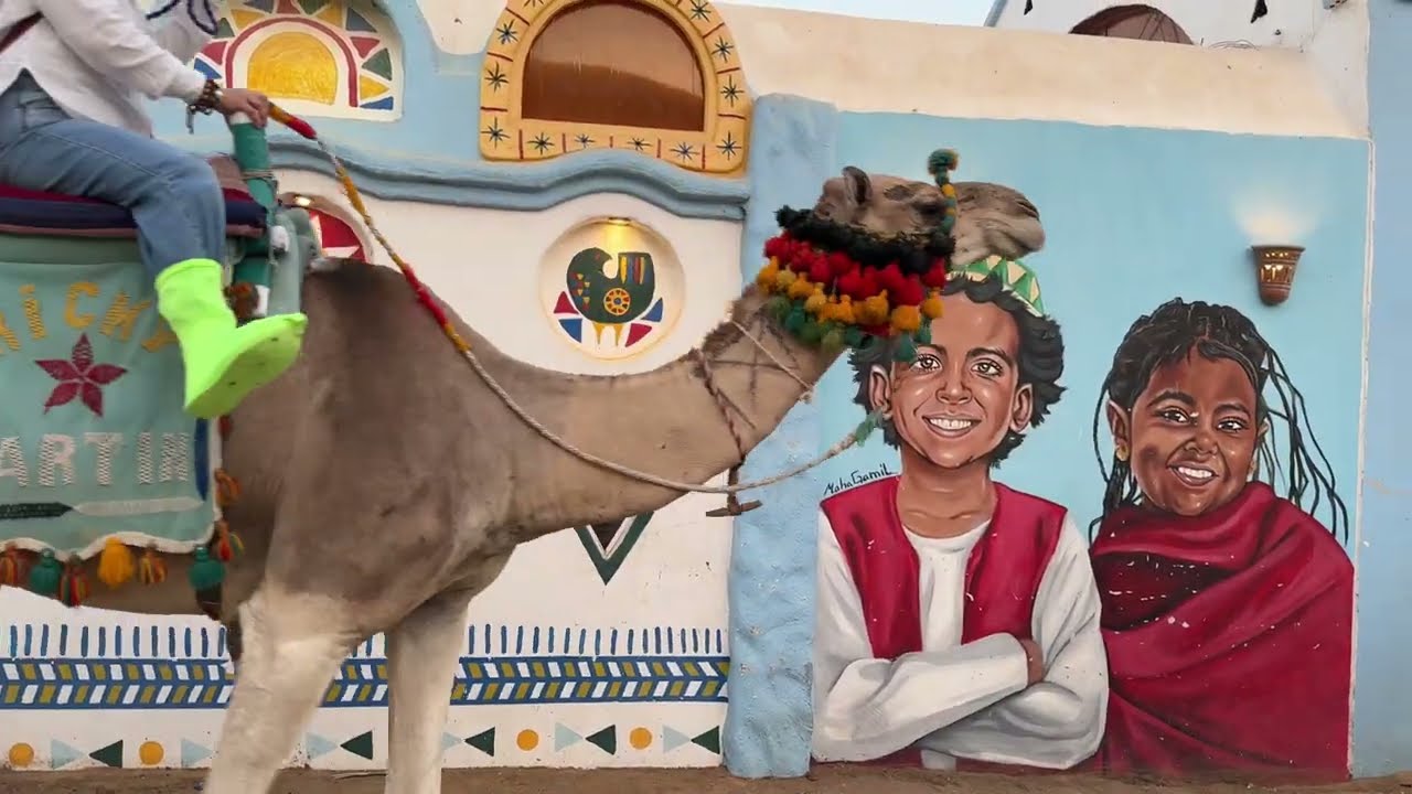 Survived 900km travel by bus Cairo to Aswan,Egypt