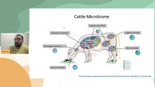 Waseem Abbas - Influence of host genetics in rumen bacterial community in beef cattle | S01 MVIF10