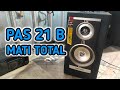 Speaker Aktif Polytron Pas21B Mati Total Kerusakan Mudah
