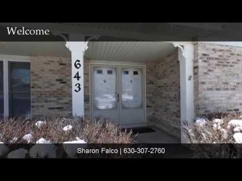 643 David Lane, Carol Stream, IL home video tour