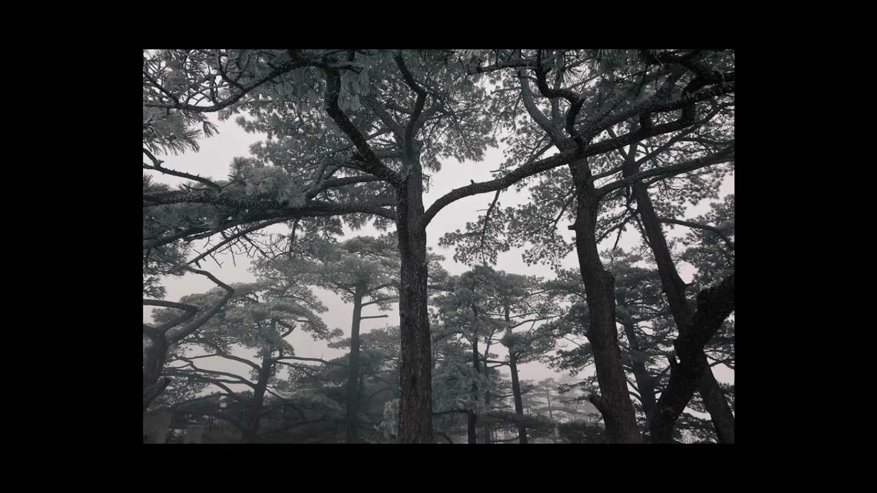 How to Photograph Your Journey_Huangshan_China.mov
