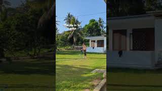my life in Sri Lanka