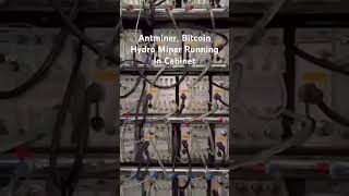 Antminer Bitcoin Hydro Miners Running in Cabinet #bitcoinmining #cryptomining #bitman