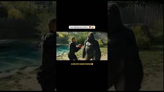 Gorilla Boxing FAIL 🥊😂 | Epic Funny Fail Shorts