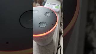 Amazon echo, I'm having trouble connecting to the internet Net Worth