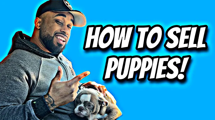 How to sell puppies! 2023 Grow on Social media as a Dog breeder‼️ - DayDayNews