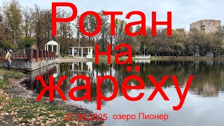 Ротан на жарёху. 27.09.2025. Озеро Пионер. г. Раменское. Рыбалка в Подмосковье