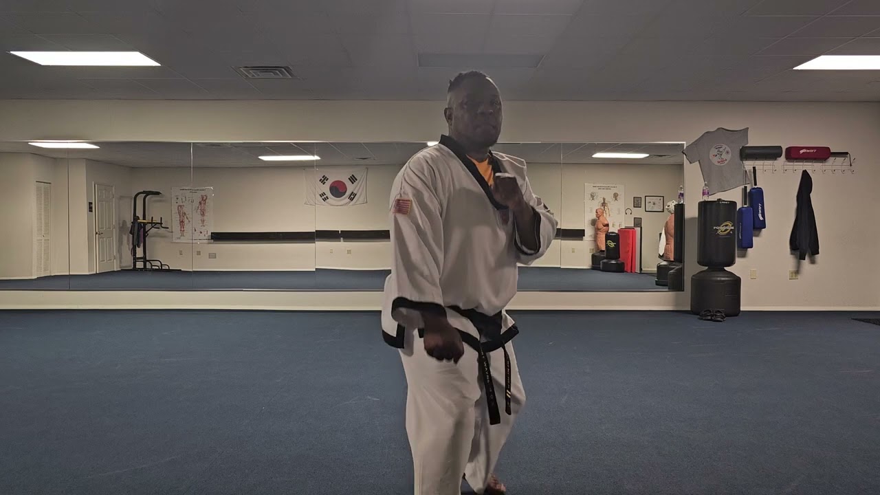 Jump Front Snap Kick