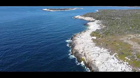 Bald Rock Road - Robert Scanlan