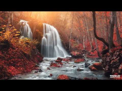 התבודדות | מתורתו של רבי נחמן מברסלב | תוכנית בשידור חי ברדיו ברסלב קול הנחל | הרב ברוך זרובבל