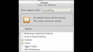 How to clear cache and cookies