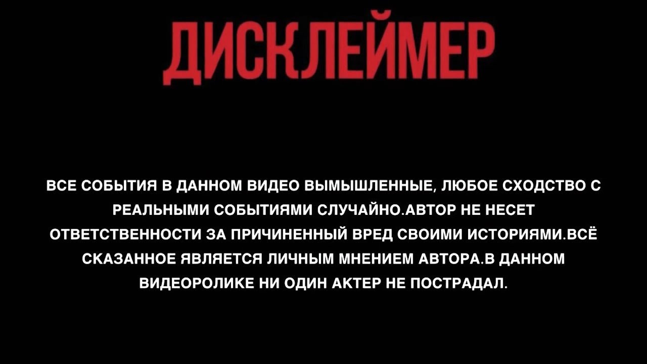Дисклеймер для презентации