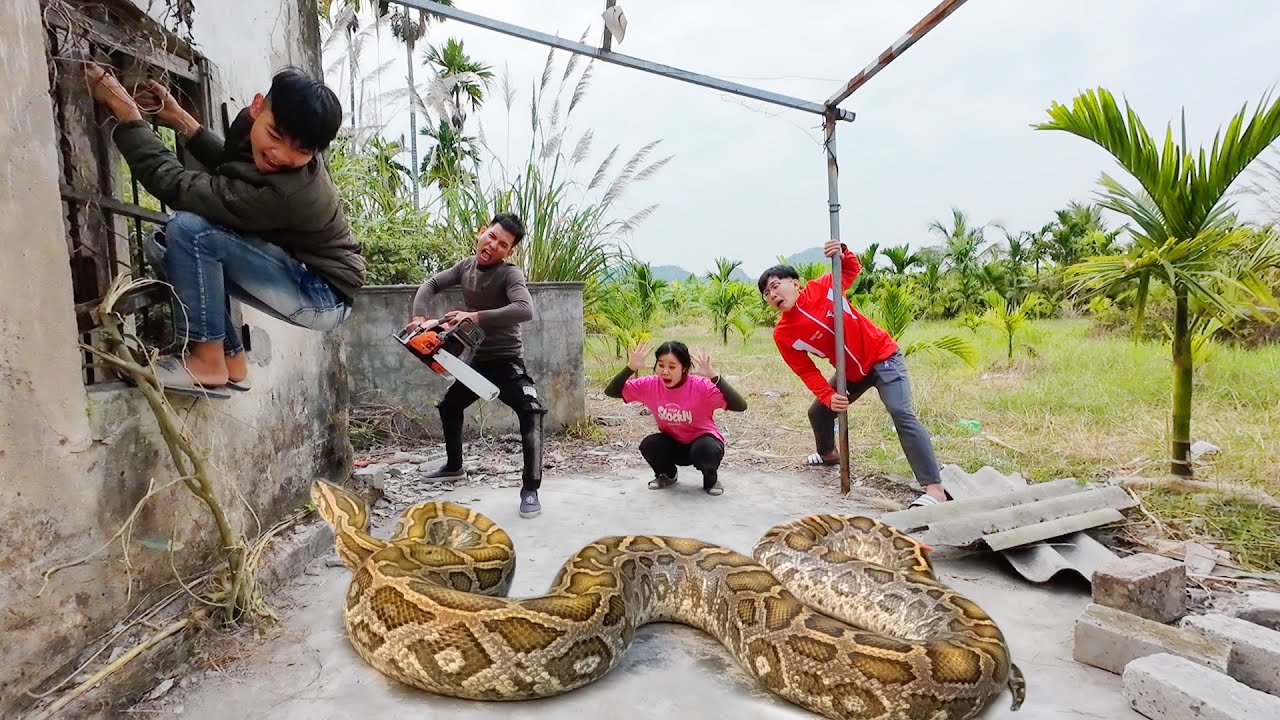 Отважные охотники противостоят десяти анакондам, чтобы спасти девочку из этнической группы.