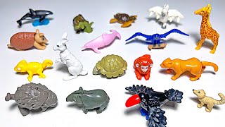 Sea Animals, Wild Animals  Porcupine, Orca, Pink Dolphin, Turtle, Giraffe, Macaw, Tapir, Squirrel