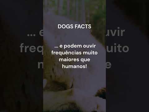 Vídeo: Como cuidar de almofadas de pata de um cão