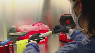 Details Georgia residents isolating after hantavirus outbreak on cruise ship Update