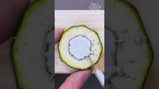 DIY Repair Tips to Keep Every Tool Like New