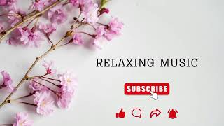 Soothing, Relaxing music for your brain, mind and soul | Study , rest, sleep to this calming music
