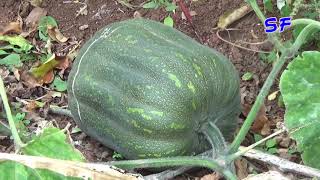 The Guest Houses Jnane Me Khénifra Region Morocco