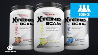 SciVation Xtend BCAAs | Science-Based Overview