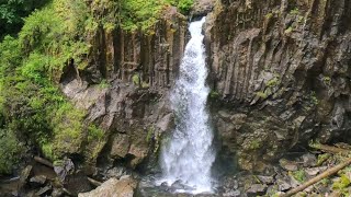 Virtual Hike Drift Creek Falls Oregon 15 Miles Forest To Suspension Bridge Over Waterfall