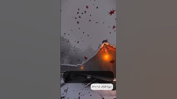 يَا وَيْلَتَىٰ لَيْتَنِي لَمْ أَتَّخِذْ فُلَانًا خَلِيلًا ﴿ ٢٨ ﴾ سورة الفرقان
