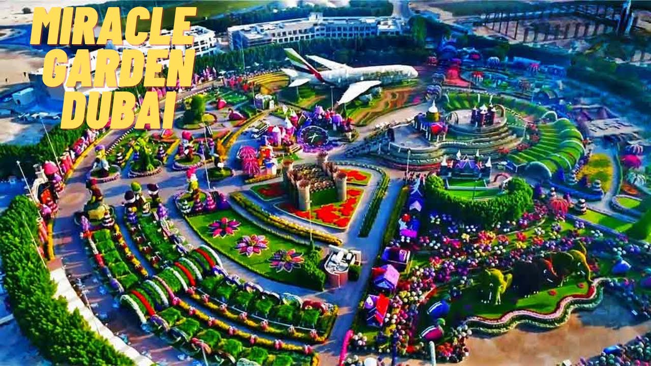 MIRACLE GARDEN DUBAI | EXPLORE THE HIDDEN BEAUTY OF DUBAI