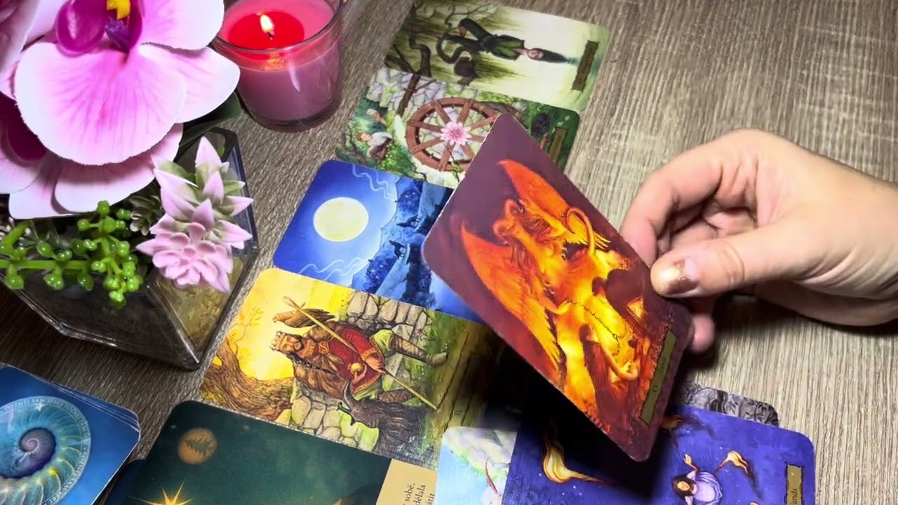 BERAN ~ ÚNOR 2026 ⛄️ Láska 🩵 pracovní oblast 💸