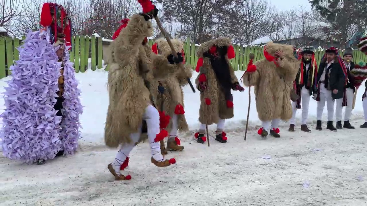 Capra mare sat balesti Vaslui 2021