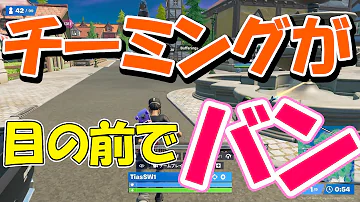 تحميل フォートナイト グニスケ チーミング